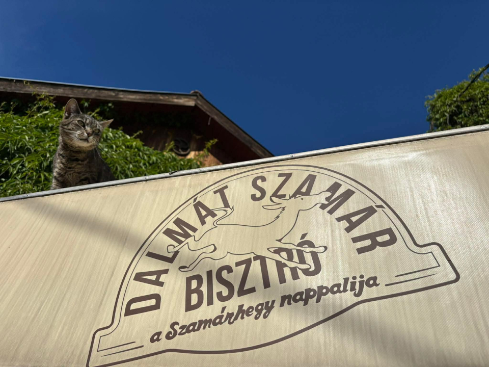 Dalmát Szamár Bisztró - Szentendre